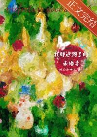 辽宁卫视逃跑的未婚夫完整版