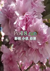 调教小喷泉海棠