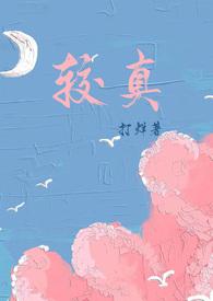较真无删减在线阅读