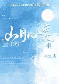 山月不知心底事furry