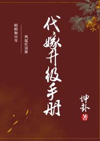代嫁升级手册by坤卦百度资源