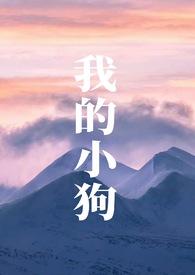 我的小狗免费观看