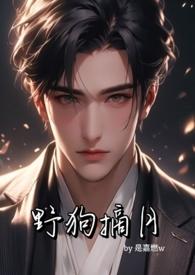 野狗摘月TXT最新章节更新