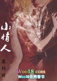 小情人全文阅读无弹窗