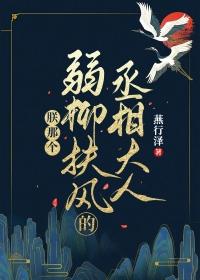 朕那个弱柳扶风的丞相大人免费阅读完整版