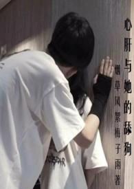 心肝与她的舔狗书评