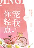 你轻点宠我无弹窗