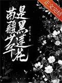 苗苗疆少年是黑莲花