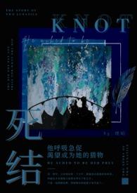 死结(姐弟骨科h) 理昭