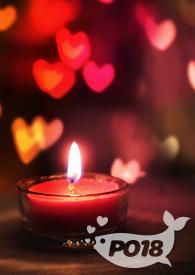 痴迷番外