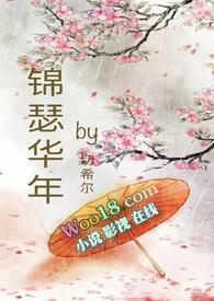 锦瑟华年txt书包网