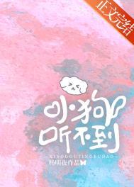 小狗听不到 txt