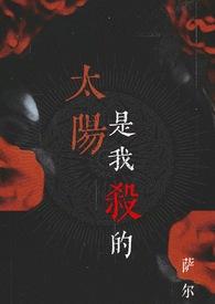 太阳是我杀的萨尔免费阅读全文最新