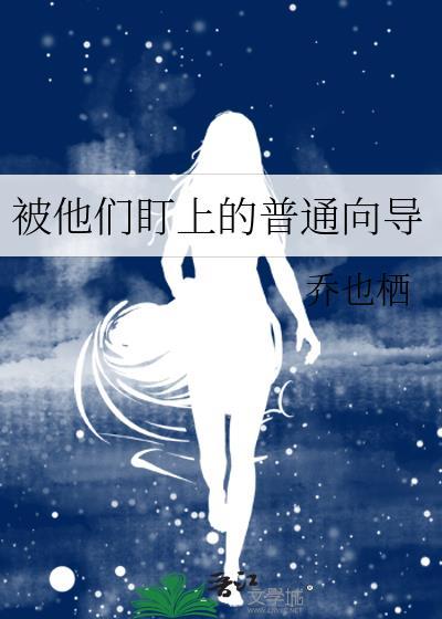 被盯上的普通向导TXT
