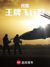 抗战王牌飞行员