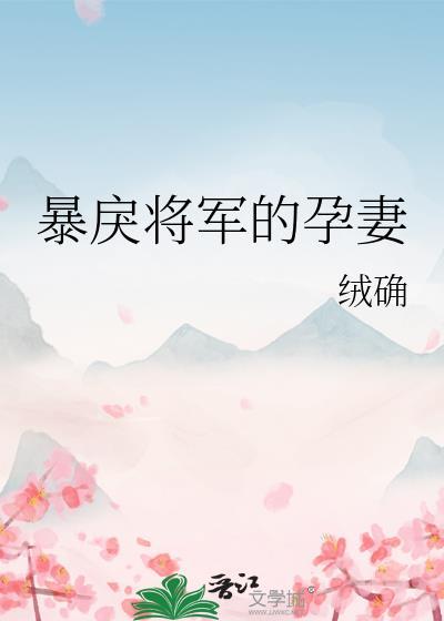 暴戾将军的孕妻有副cp吗
