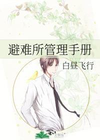 避难所完美攻略大全
