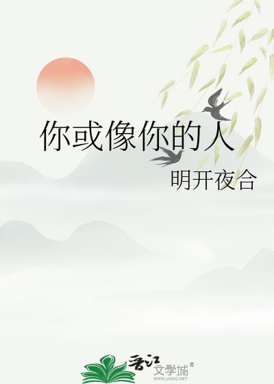 你或像你的人明开夜和全文免费