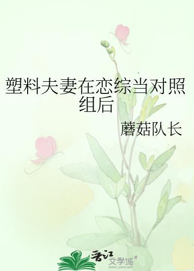 塑料夫妻全集TXT