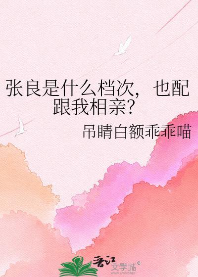 张良是干嘛的