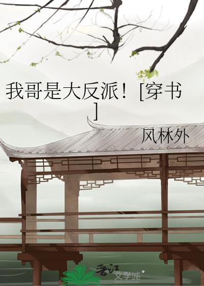 我哥是大反派穿书风林外百度