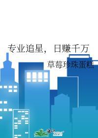 追星专业术语100条