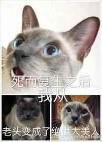 死而复生我从老头讲的什么攻到底是谁