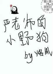 严老师真实身份短剧完整版