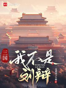 三国我刘辩让大汉再次伟大篱笆
