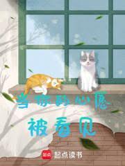 当你的心愿被看见笔趣阁
