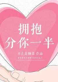 拥抱分你一半全本合售