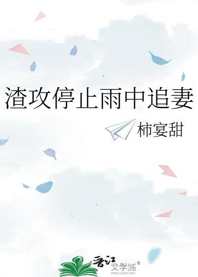 渣攻停止雨中追妻讲的什么