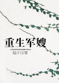 重生军嫂之农媳逆袭