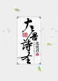 大唐诗圣生孩子是哪集
