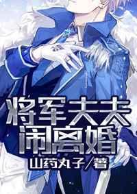 将军夫夫闹离婚 山药丸子