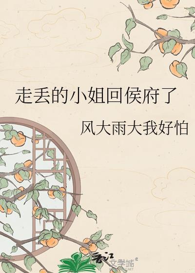 走失的小姐被母亲找回电视剧