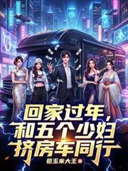 类是过年回家跟总裁挤卧铺的短剧叫什么名字