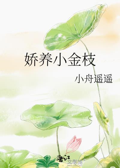 娇养小金枝附带番外txt