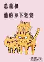 总裁与妻子的关系变化