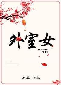 外室女全文免费阅读无错版
