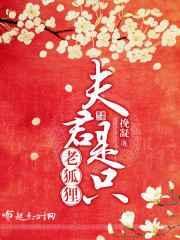 夫君是狐狸