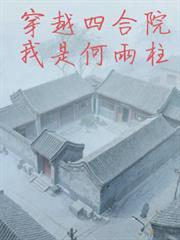 穿越四合院我是何雨柱3Q中文