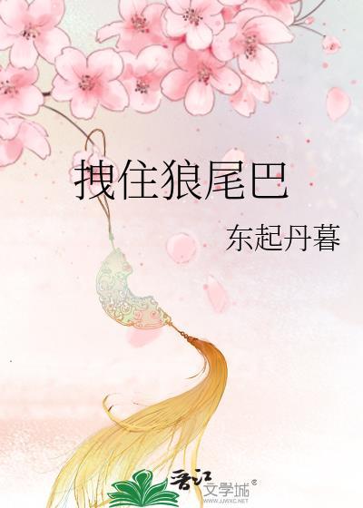 拽住狼尾巴晋江