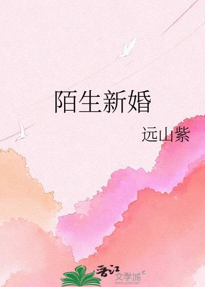 陌生新婚TXT免费读
