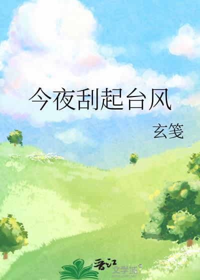 今夜刮起台风txt