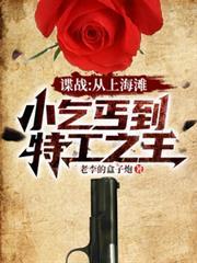 谍战之上海滩刀锋免费阅读