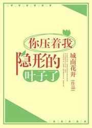 你压着我隐形的叶子了作者城南花开