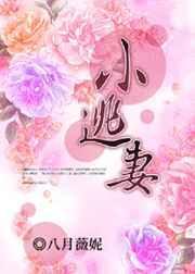 小逃妻艾佟