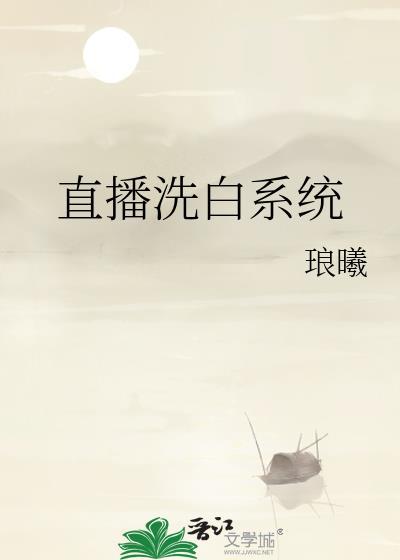 洗白系统类