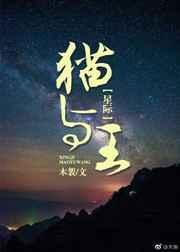 猫与星星